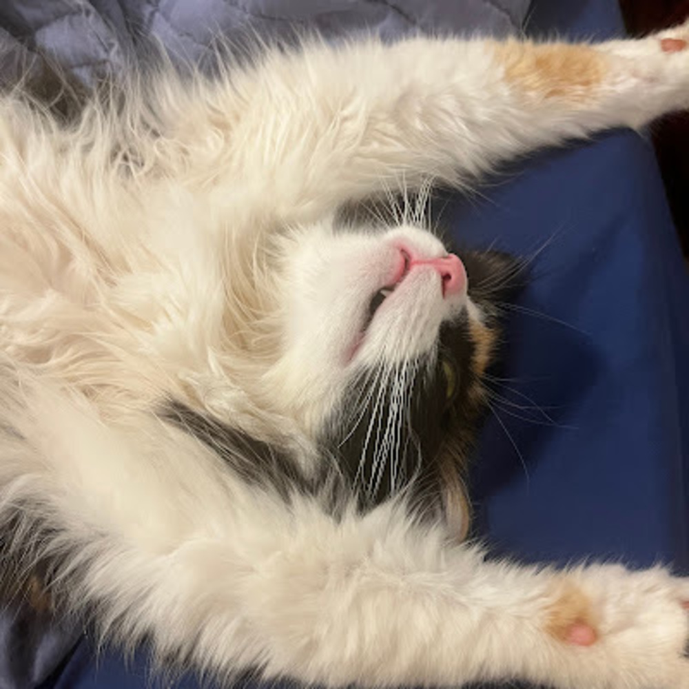 Meet your Posher, Zoe